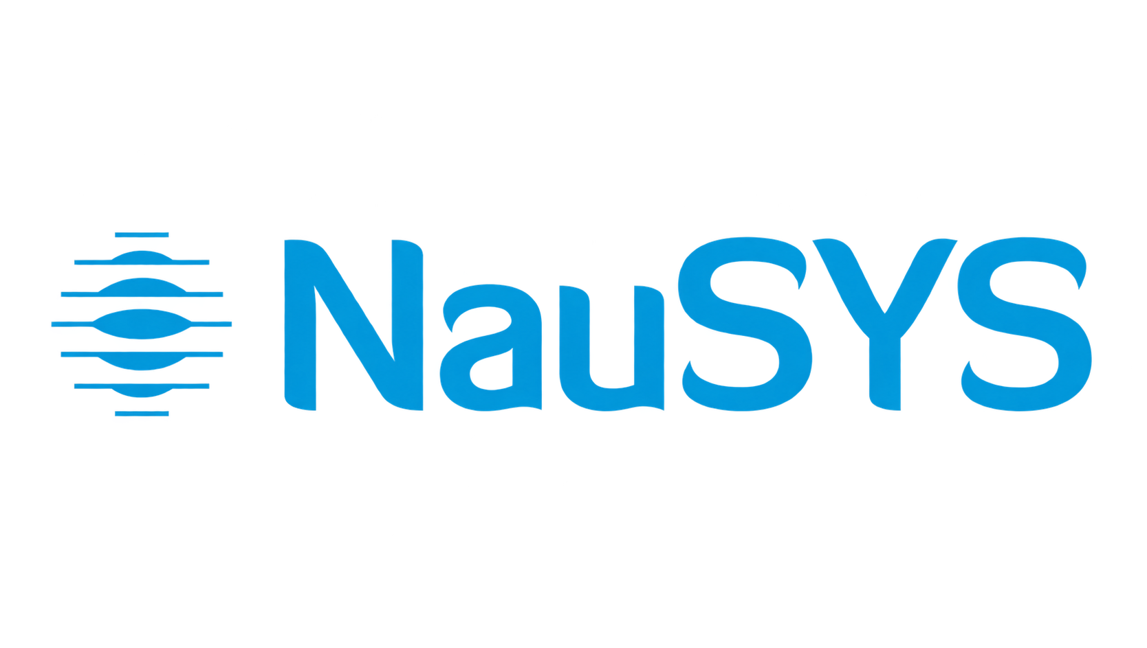 NauSYS logo